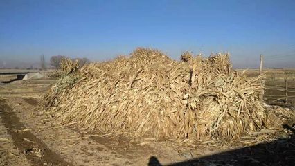 秸秆生物反应堆验收