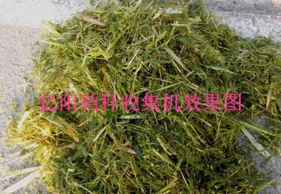 【漯河秸秆青储机新品上市/行走式秸秆青储机效果图】价格_厂家_图片 -