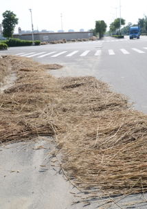 秸秆又上路