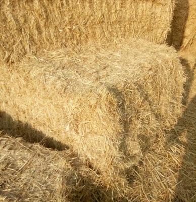 牛羊喂养添加稻草 花生秧 天然纤维材料 双盈秸秆农产品 加工
