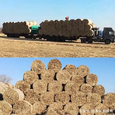 如何方便快捷收集储存农作物秸秆,这种方法非常方便!
