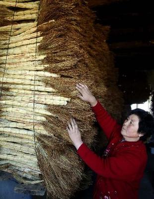 组图:内蒙古农家女编织秸秆致富