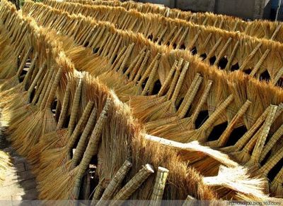 致富经小本钱赚大钱:马路环卫竹扫把,养殖场竹扫把,学校扫把