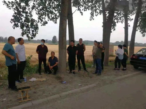 市农业农村局农技站一行到南桥镇督导秸秆禁烧工作