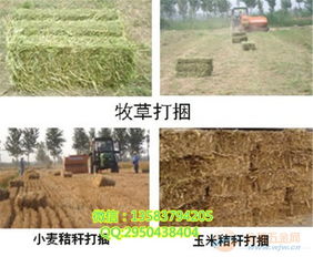 农用高效秸秆打捆机 秸秆打捆机 快速环保秸秆打捆机