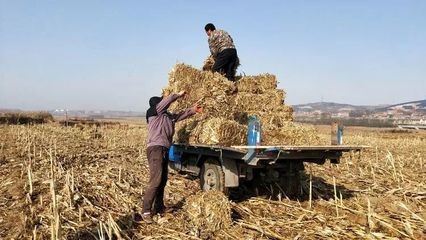 【今日关注】长治县处理秸秆有新招:机械打包成捆,回收循环利用